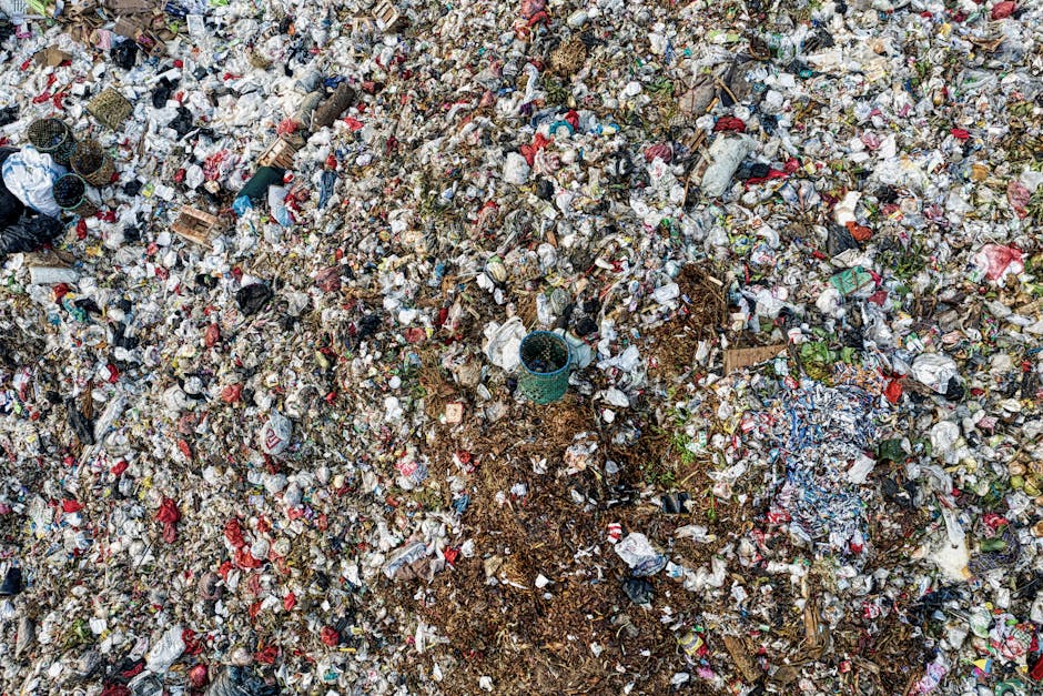 Camden council guidance for Kilburn waste disposal